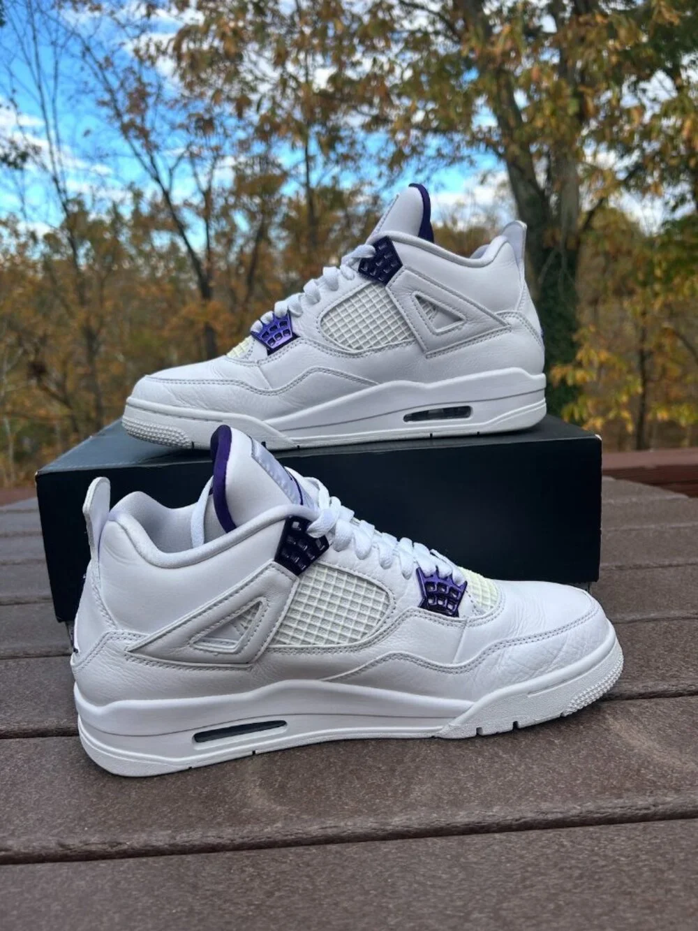 Jordan 4 Purple Matallic